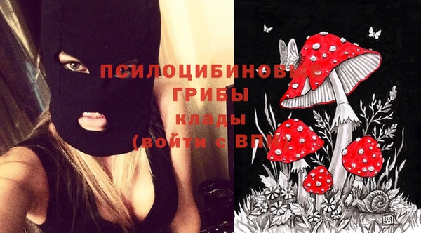 твердый Балахна